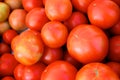 Fresh Tomatoes Royalty Free Stock Photo