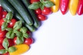 Fresh tomatoes, basil, cucumbers and paprika Royalty Free Stock Photo