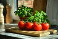 Fresh Tomatoes and Basil on Cutting Board Royalty Free Stock Photo