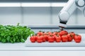 A Fresh tomatoes and basil in futuristic kitchen with robotic arm preparing food Royalty Free Stock Photo