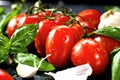 Fresh tomatoes with basil garlic and sea salt on black slate background Royalty Free Stock Photo