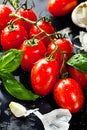 Fresh tomatoes with basil garlic and sea salt on black slate background Royalty Free Stock Photo