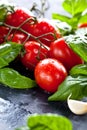 Fresh tomatoes with basil garlic and sea salt on black slate background Royalty Free Stock Photo