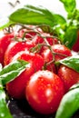 Fresh tomatoes with basil garlic and sea salt on black slate background Royalty Free Stock Photo