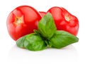 Fresh tomatoes with basil isolated on white background Royalty Free Stock Photo