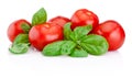 Fresh tomatoes with basil isolated on white background Royalty Free Stock Photo