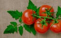 Fresh tomatoes in a basket with mint.Wooden table Royalty Free Stock Photo