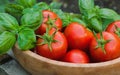 Fresh tomatoes in a basket with mint.Wooden table Royalty Free Stock Photo