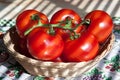 Fresh Tomatoes in a Basket Royalty Free Stock Photo