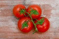 Fresh tomatoes Royalty Free Stock Photo
