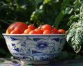 Fresh Tomatoes in a bowl in a garden