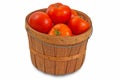 Fresh Tomatoes for Canning