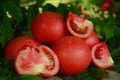 fresh tomatoes cut on the stone outside, with green background