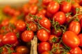 Fresh tomatoes of different varieties at the farmers market Royalty Free Stock Photo