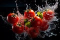 Fresh tomatoes falling into water with splash on black background, closeup Royalty Free Stock Photo