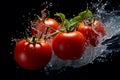 Fresh tomatoes falling into water with splash on black background, closeup Royalty Free Stock Photo