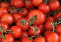 Fresh tomatoes at a farmers market in France Royalty Free Stock Photo