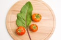 Fresh Tomatoes On Wooden Plate Royalty Free Stock Photo