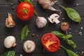 Fresh tomatoes and garlic closeup on dark rustic wood Royalty Free Stock Photo