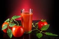 Fresh tomatoes and a glass full of tomato juice. Tomatoes lie on a black reflective table with a dark background and red light Royalty Free Stock Photo