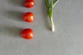 Fresh tomatoes and green onions plucked from the garden are on the gray, working surface of the kitchen