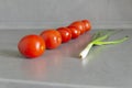 Fresh tomatoes and green onions plucked from the garden are on the gray, working surface of the kitchen