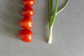 Fresh tomatoes and green onions plucked from the garden are on the gray, working surface of the kitchen