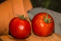 Fresh Tomatoes Royalty Free Stock Photo