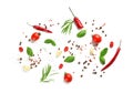 Fresh tomatoes, herbs and spices on white background Royalty Free Stock Photo