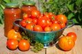 Fresh tomatoes and homemade tomato juice