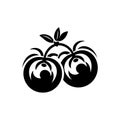 Fresh tomatoes icon