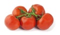 Fresh tomatoes isolated