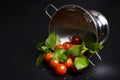 Fresh tomatoes and lemon balm in a metal strainer