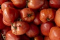 Fresh tomatoes in the marketplace for sales Royalty Free Stock Photo