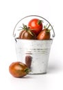 Fresh tomatoes in a pail on white background Royalty Free Stock Photo