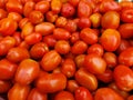 fresh tomatoes fresh red tomatoes tomatoes in bulk Royalty Free Stock Photo