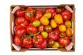 Fresh tomatoes red, yellow and green top view in box on a white background. Isolated. Royalty Free Stock Photo