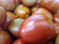 Fresh tomatoes sale on market