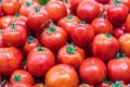 Fresh tomatoes for sale at the Panjshanbe Bazaar in Khujand