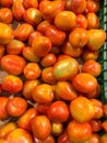 Fresh tomatoes on the supermarket shelf. Royalty Free Stock Photo