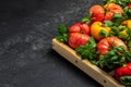 Fresh tomatoes, sweet peppers and basil on black table. Healthy food. Gardening. place for text, top view Royalty Free Stock Photo