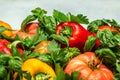 Fresh tomatoes, sweet peppers and basil on white table. Healthy food. Gardening. place for text, top view Royalty Free Stock Photo