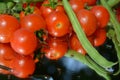 Fresh tomatoes and two peas Royalty Free Stock Photo