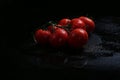 Fresh tomatoes under water drops Royalty Free Stock Photo