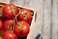 Fresh tomatoes on the vine in a wooden crate. Royalty Free Stock Photo