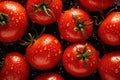 Fresh Tomatoes with Water Droplets. Generative AI Royalty Free Stock Photo