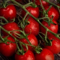 Wet fresh tomatoes Royalty Free Stock Photo