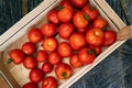 Fresh tomatoes in wooden box at food store. Tomato vegetables at farmer market for healthy eating Royalty Free Stock Photo