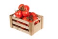 Fresh tomatoes in a wooden crate isolate on a white Royalty Free Stock Photo