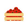 Fresh tomatoes in wooden crate isolated on white background. Flat style vector illustration. Vegetarian diet, vegetables Royalty Free Stock Photo